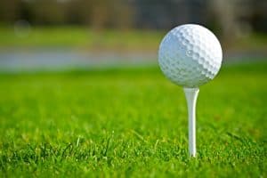 Metro North Crossing Scores Golf Entertainment Complex